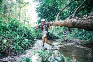 BIB: 
                            <button type="button" onclick="openModal(25430754)" class="btn btn-primary btn-sm float-right btn-popup" data-toggle="modal" data-target=".modal-high-quality">
                        <i class="fas fa-shopping-cart"></i> Add to Cart
                    </button>
                                            <button type="button" onclick="isThisMe(25430754, true)" class="btn btn-success btn-sm float-right btn-popup btn-isme hidden" data-toggle="tooltip" data-placement="bottom" title="นี่คือรูปของคุณใช่ไหม คลิกที่นี่เพื่อเอาเข้าอัลบั้ม">
                        <i class="fas fa-plus"></i> Add to album
                    </button>
                    <button type="button" onclick="isThisMe(25430754, false)" class="btn btn-warning btn-sm float-right btn-popup btn-isnotme hidden">
                        <i class="fas fa-ban"></i> Remove from album
                    </button>